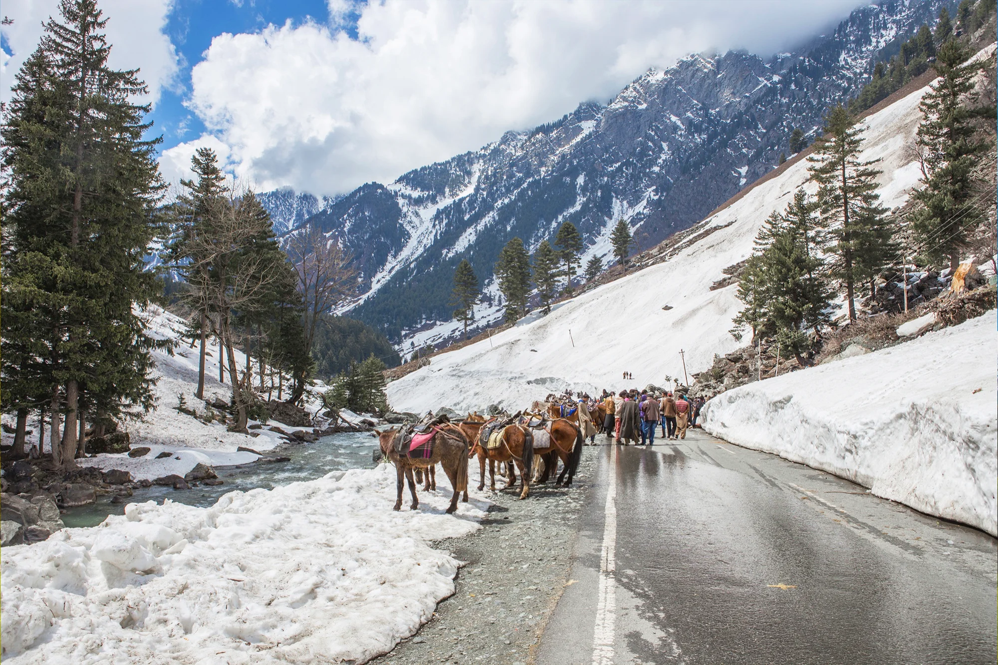 Kashmir Package