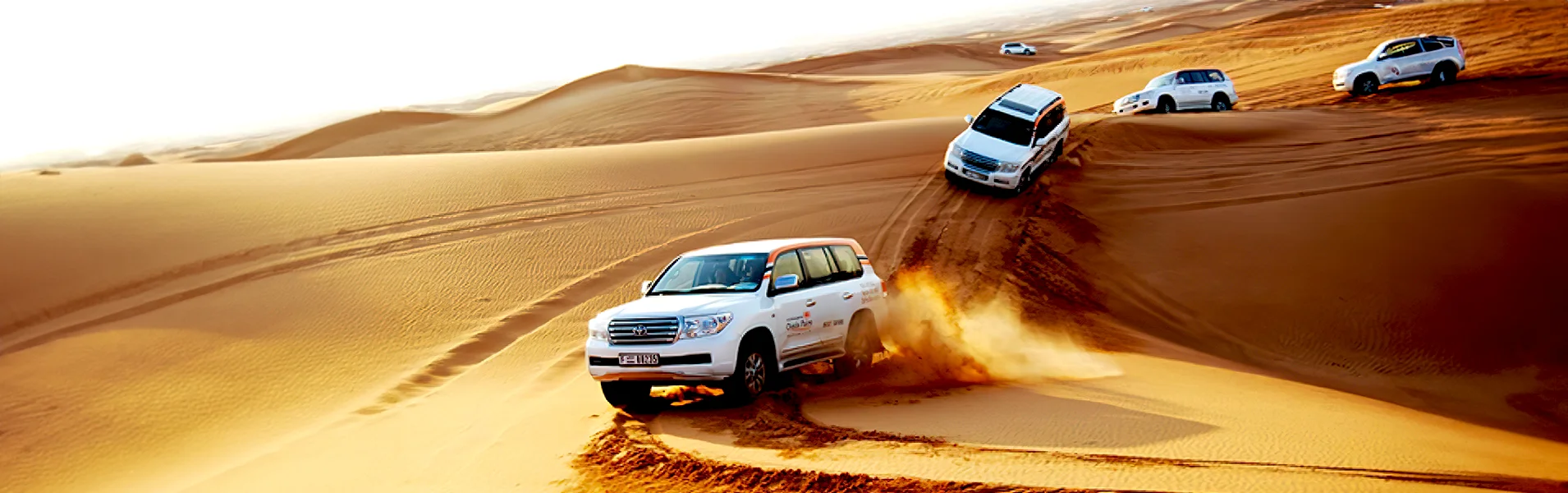 desert safari dubaisss