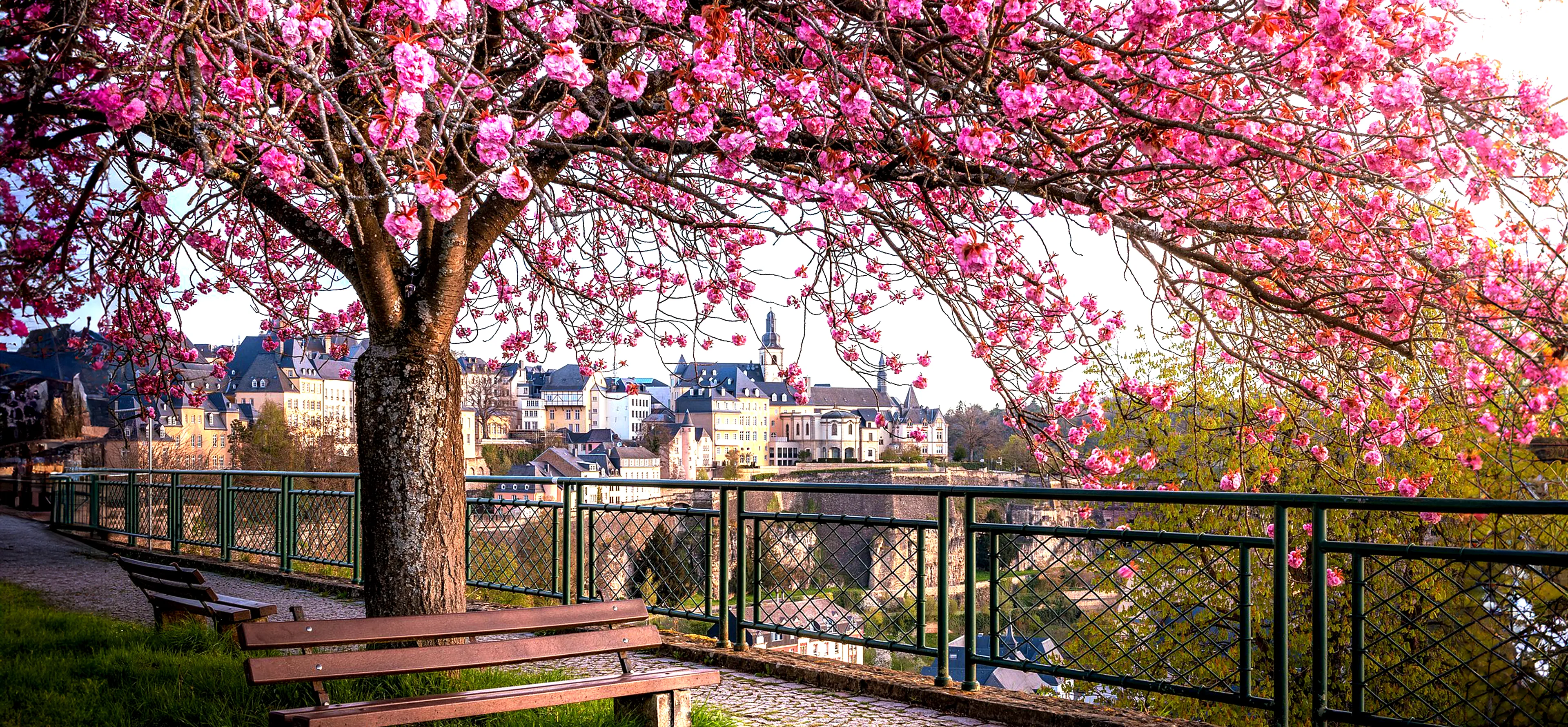 Luxembourg Tour Packages