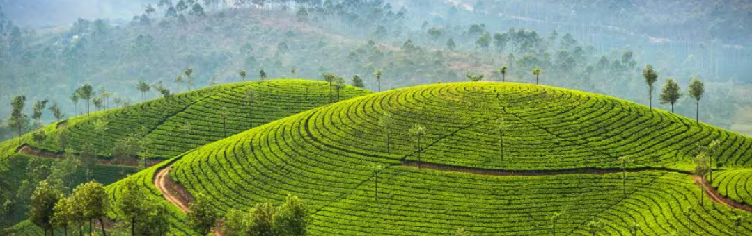 Munnar